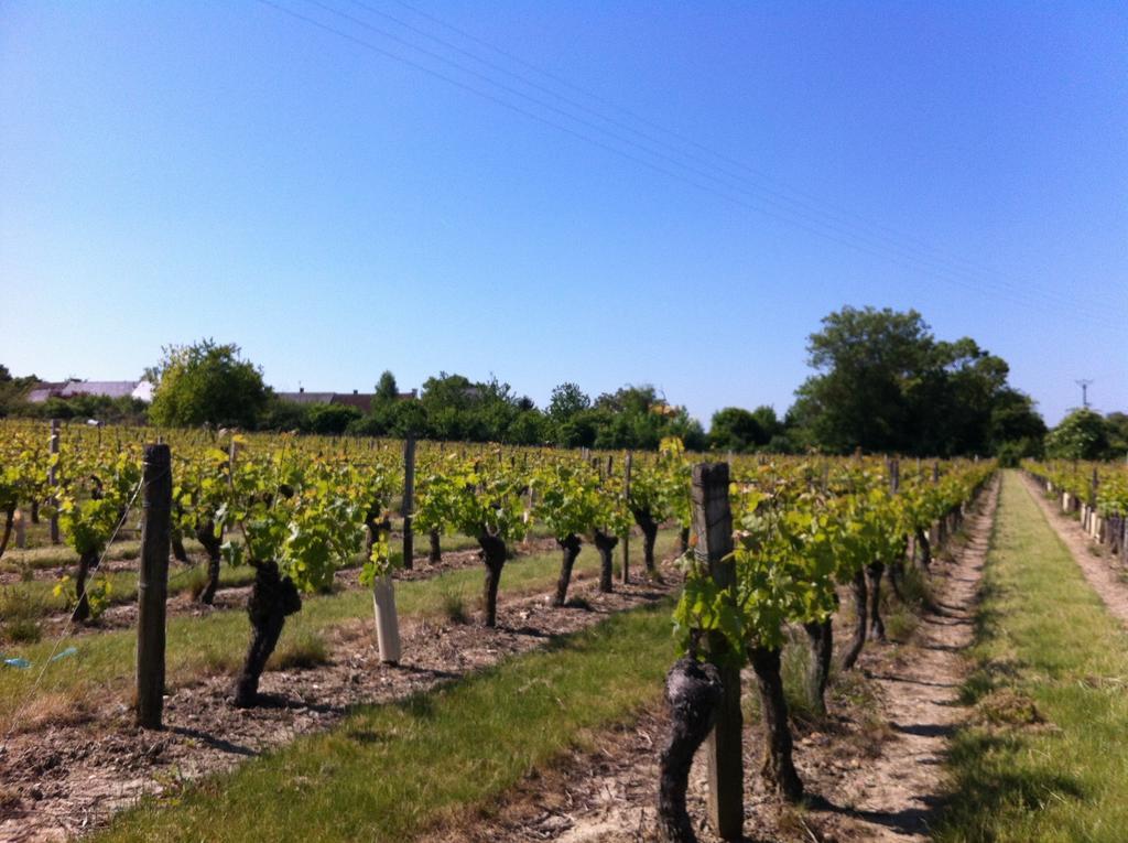 La Balastiere Beaumont-en-Veron Bagian luar foto